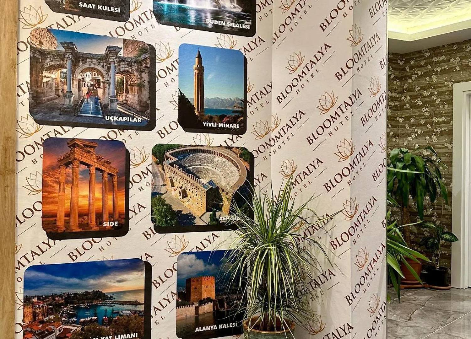 Bloomtalya Hotel Antalya
