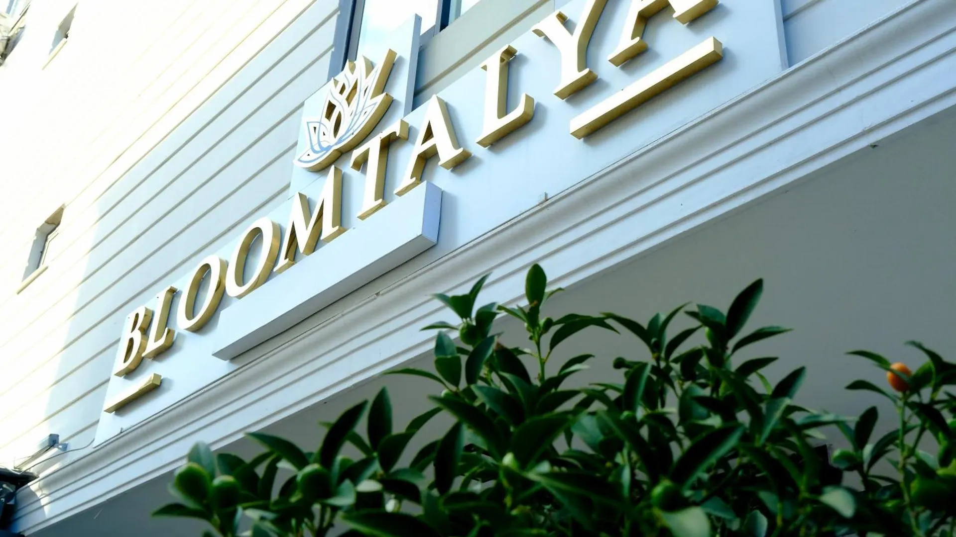 Bloomtalya Hotel Antalya Türkiye